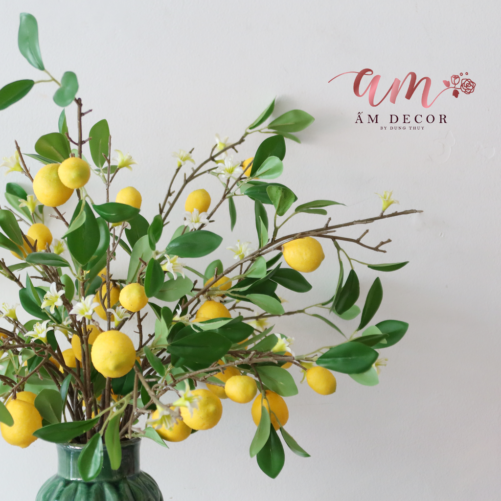 Ấm Plant House - LEMON CONCEPT DECOR ARTIFICIAL