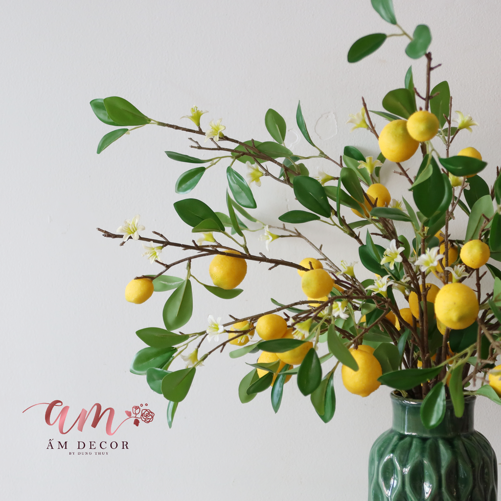 Ấm Plant House - LEMON CONCEPT DECOR ARTIFICIAL