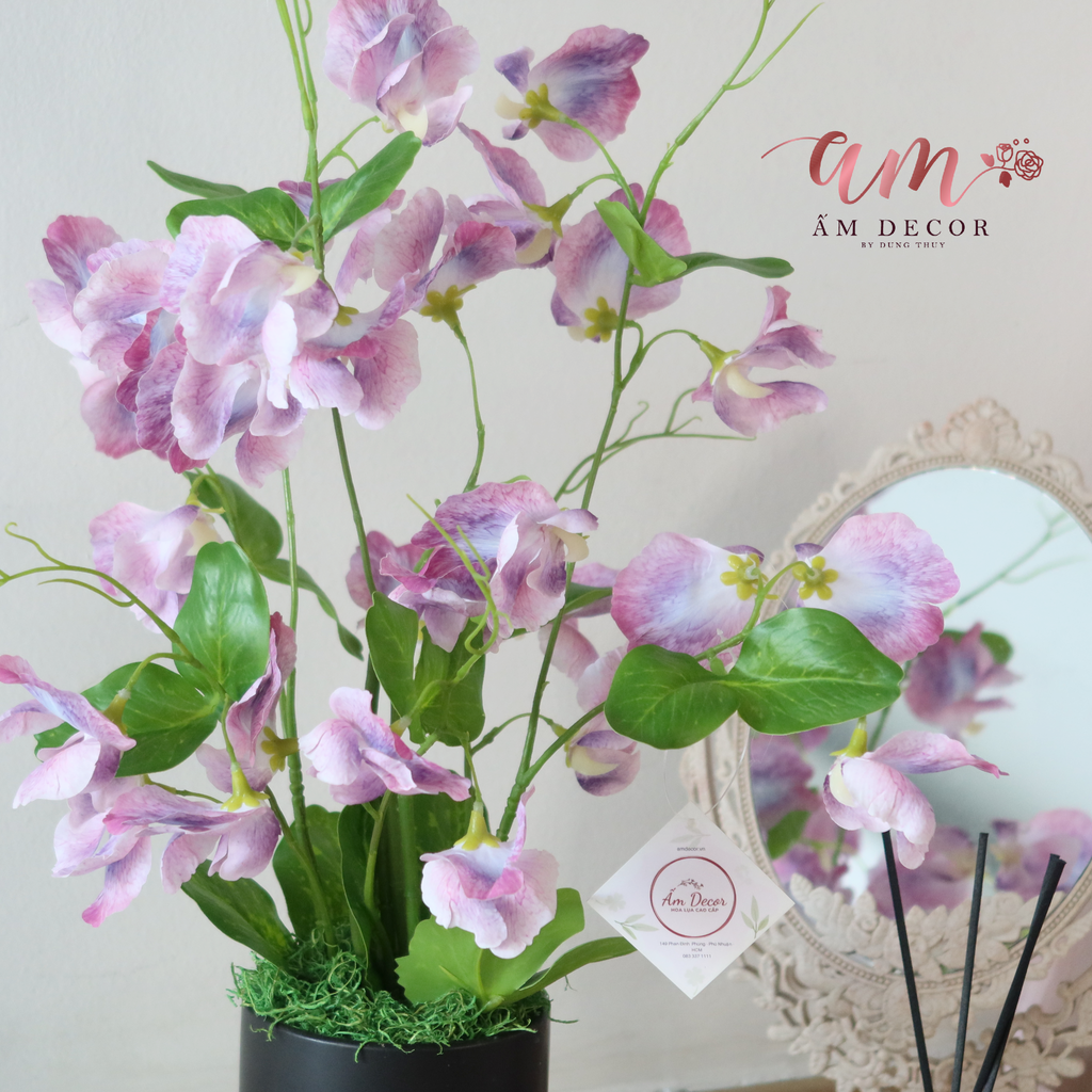 ZSWEETPEA VIOLET LADIES