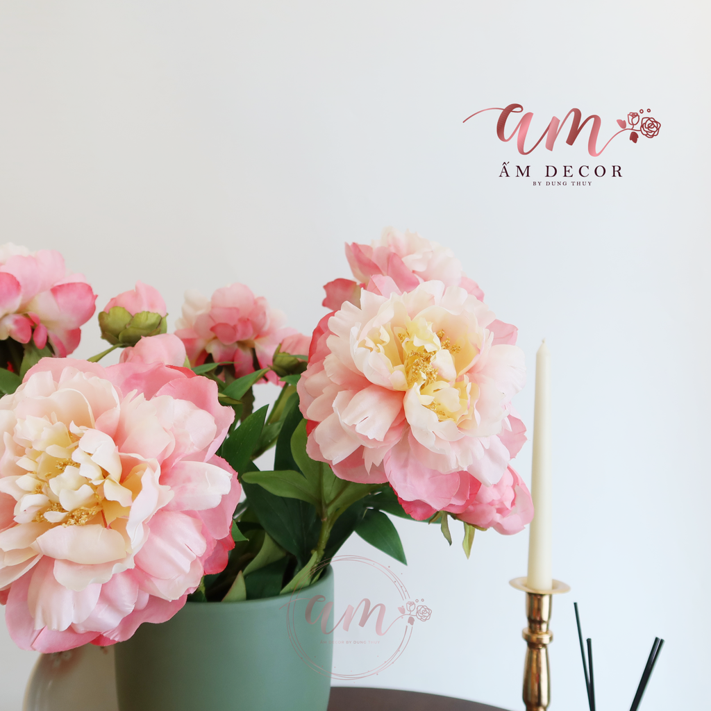 ZBÌNH MẪU ĐƠN GREED PINK
