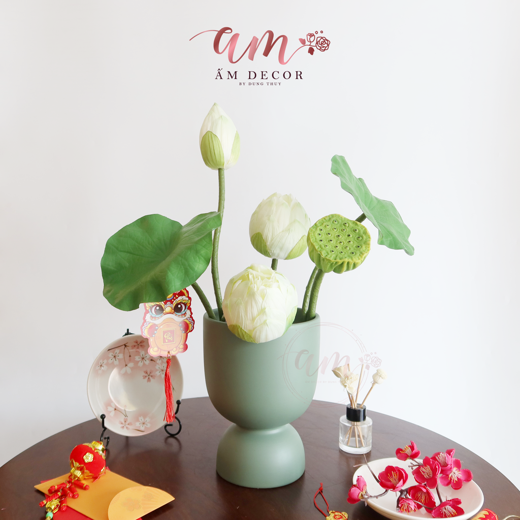 ZSEN BẠCH NHỊ THẤT