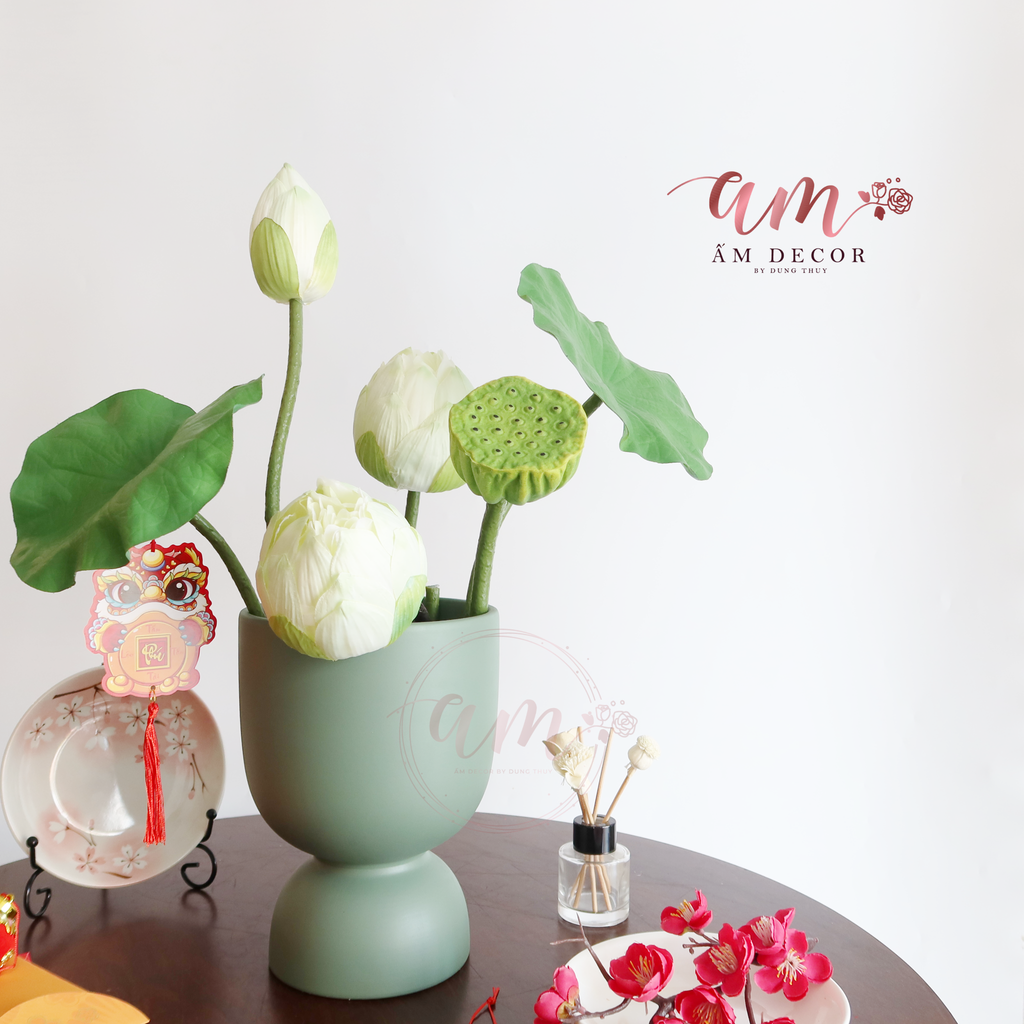 ZSEN BẠCH NHỊ THẤT