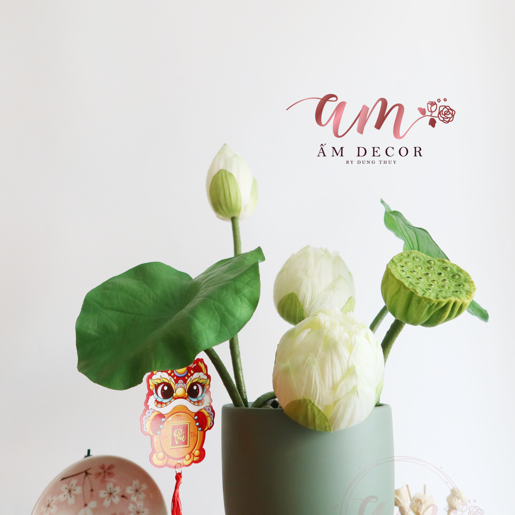 ZSEN BẠCH NHỊ THẤT