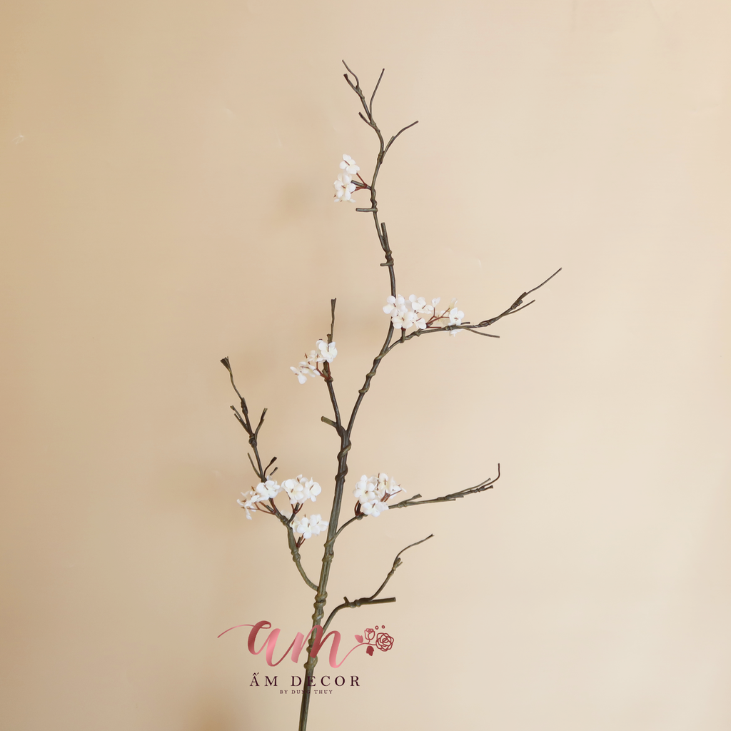 HOA MẬN TÂY BẮC (Trắng)