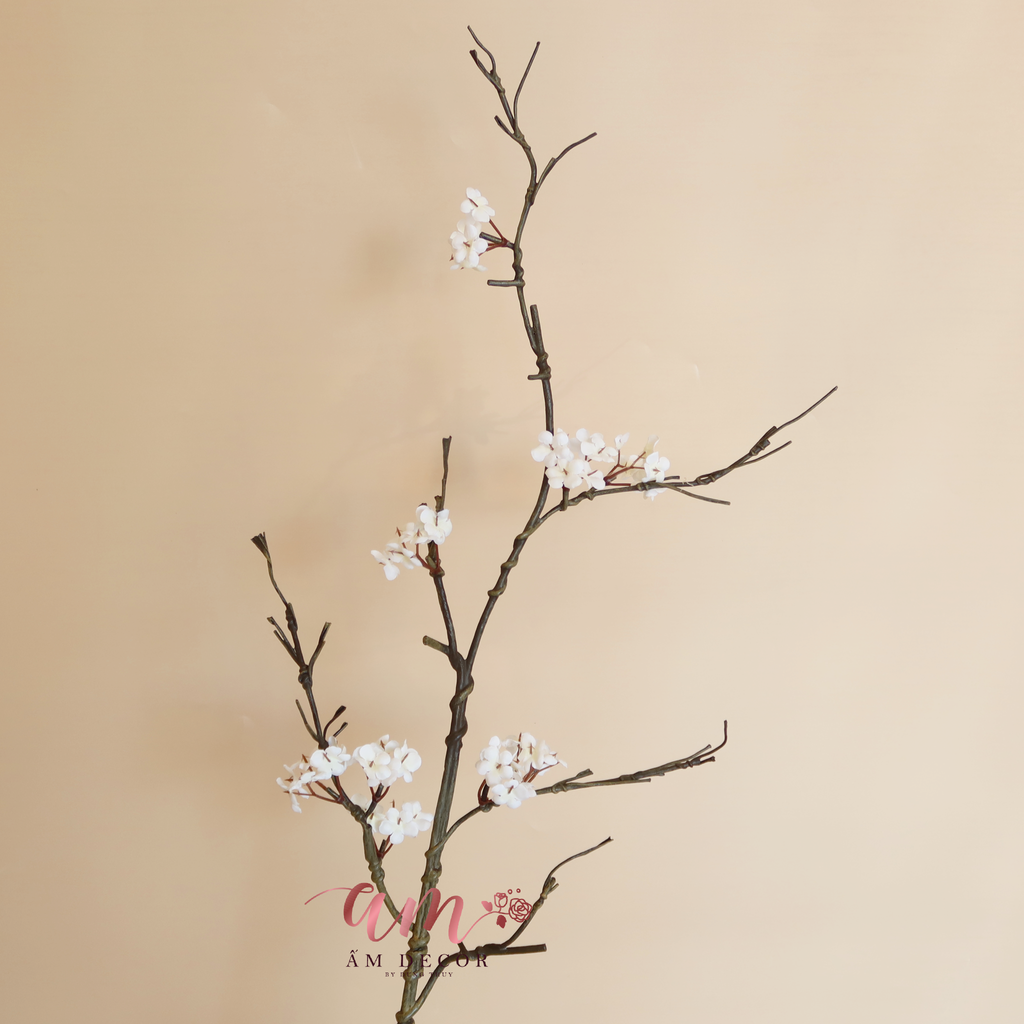HOA MẬN TÂY BẮC (Trắng)