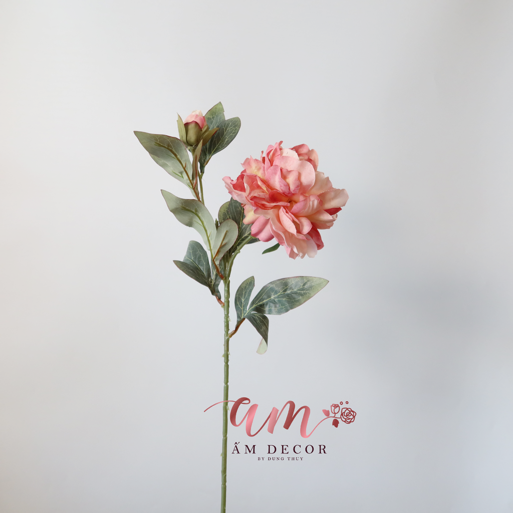 PEONY (Hồng)