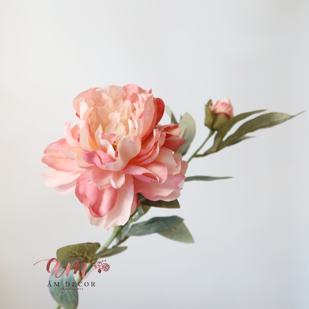 PEONY (Hồng)