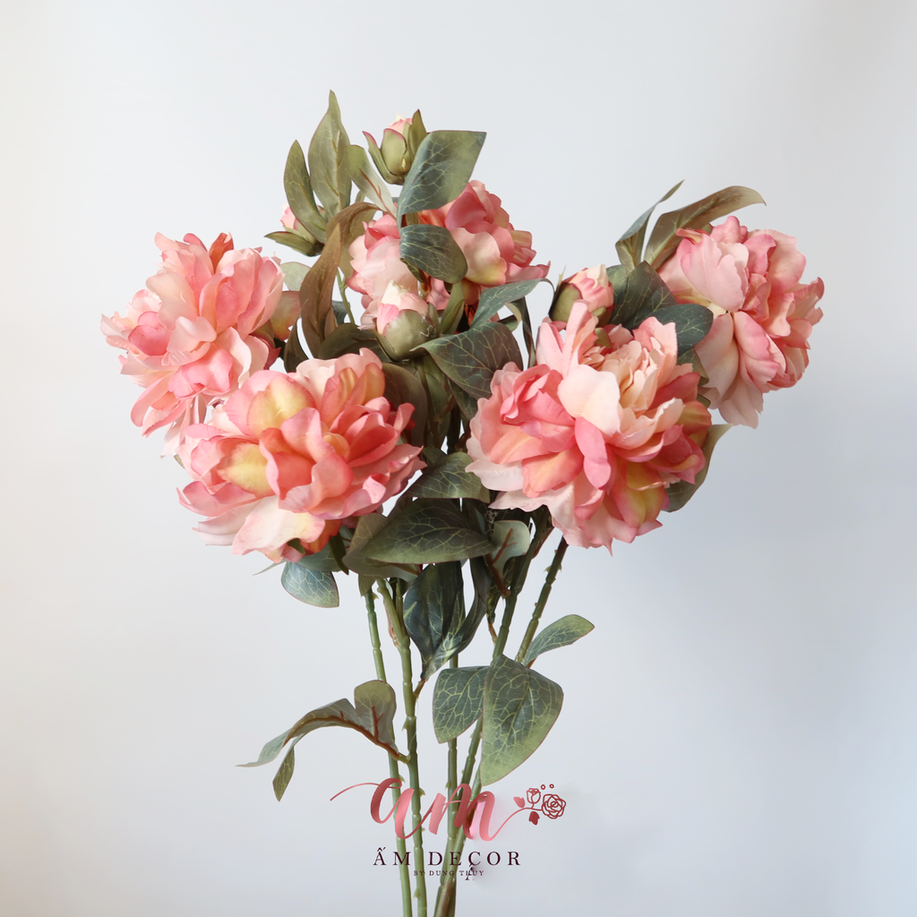PEONY (Hồng)