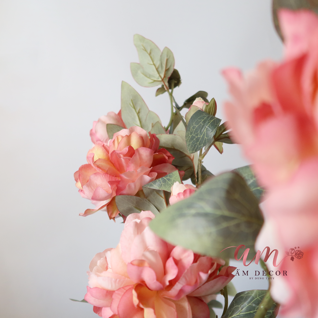 PEONY (Hồng)