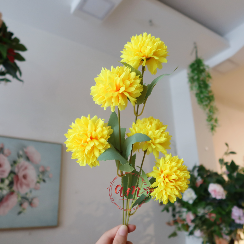 PING PONG VÀNG 5 BÔNG