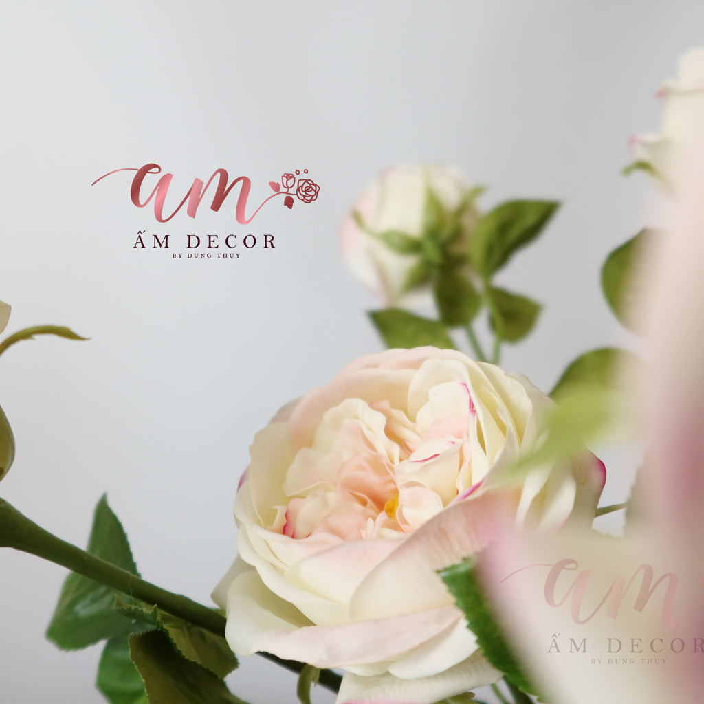 ZHOA HỒNG JULIET (Hồng)