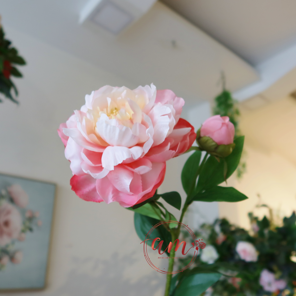 MẪU ĐƠN NỞ (Hồng)