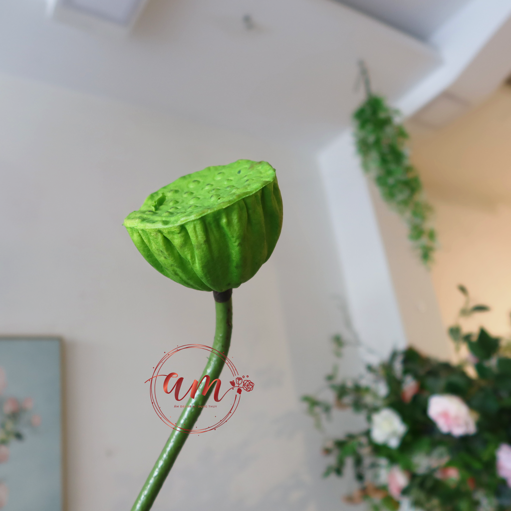 ĐÀI SEN NHỎ (Xanh Lá Mạ)