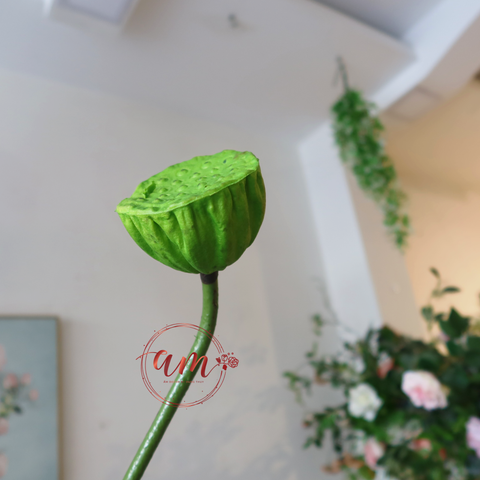  ĐÀI SEN NHỎ (Xanh Lá Mạ) 