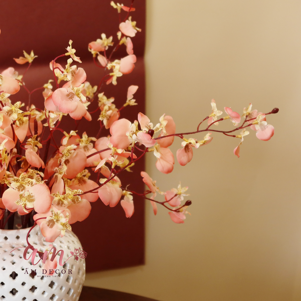 BÌNH LAN VŨ NỮ CỔ ĐIỂN