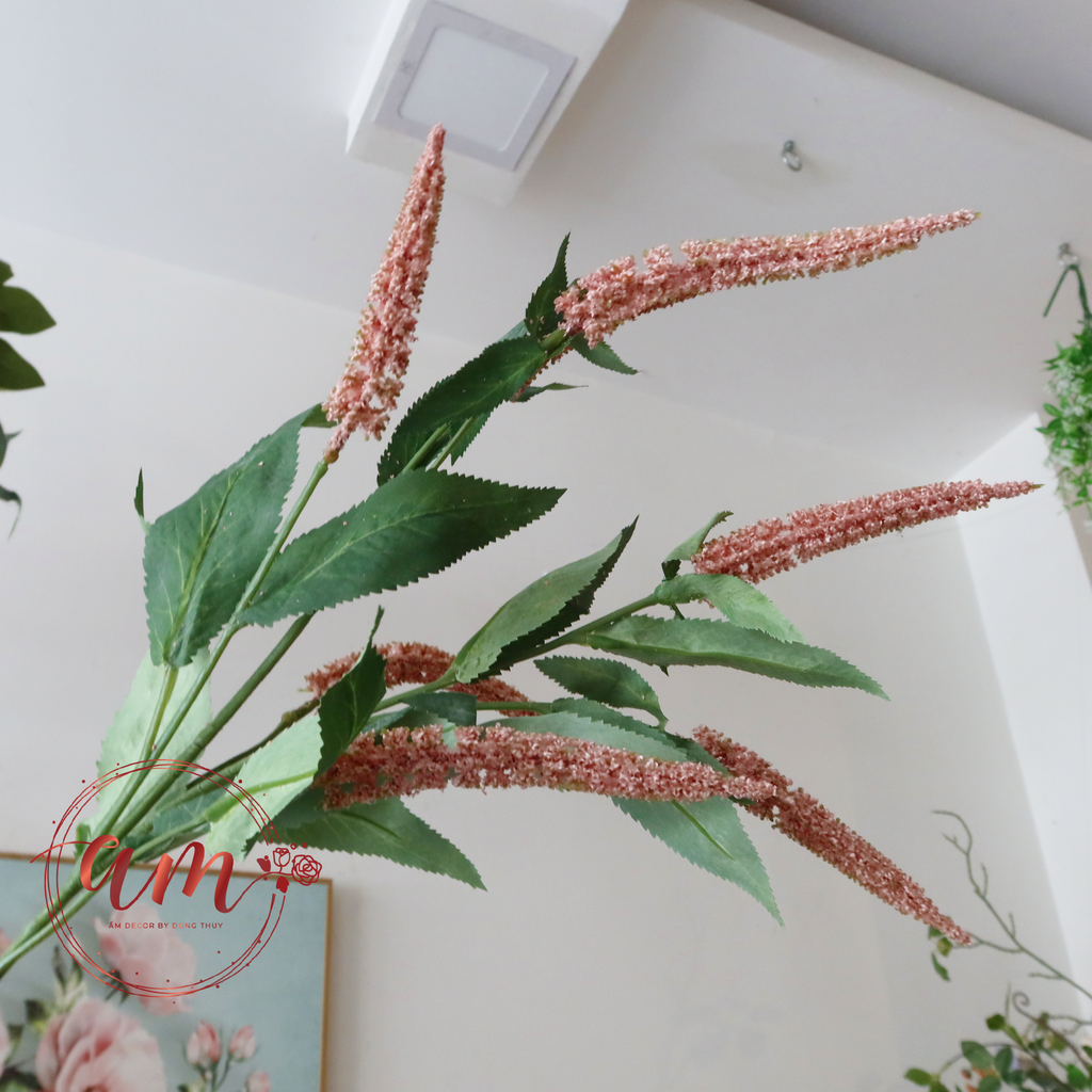 CÀNH OẢI HƯƠNG (Hồng)