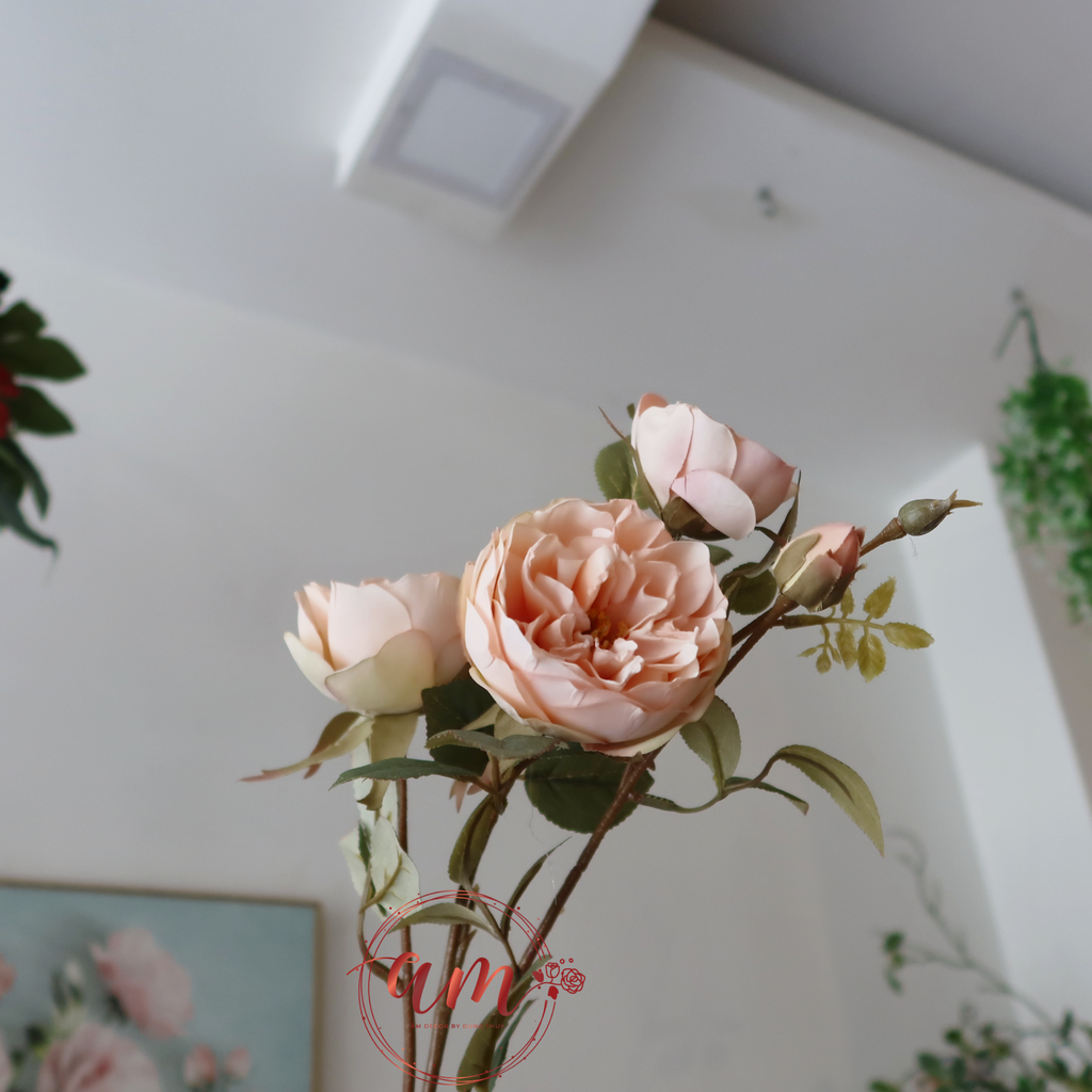 ZHOA HỒNG MÙA THU CHÂU ÂU (Choco)