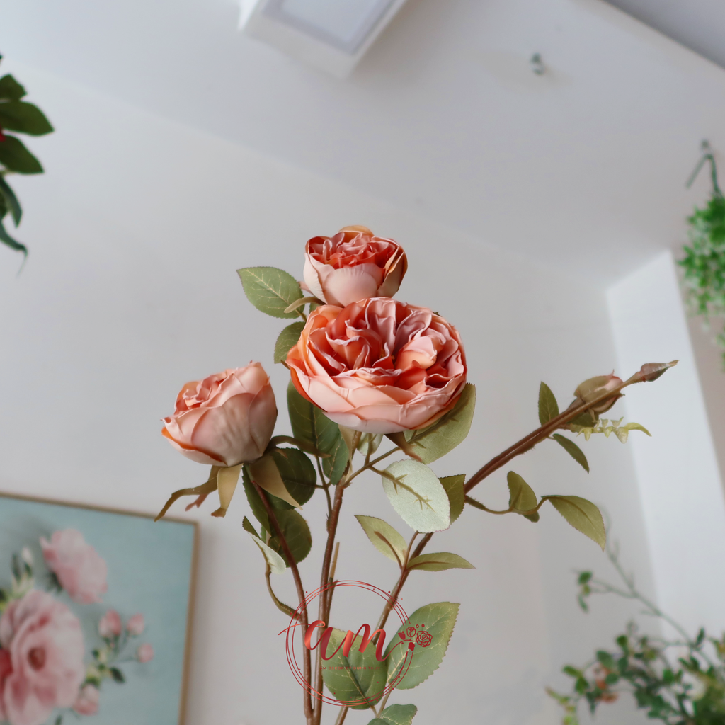 HOA HỒNG MÙA THU CHÂU ÂU (Cam)