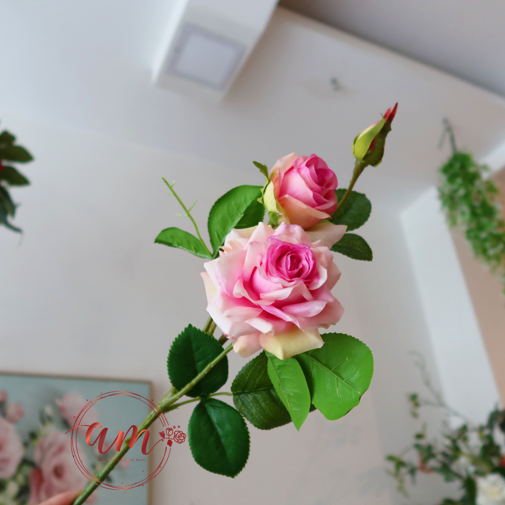 CÀNH HOA HỒNG SỪNG GIỮ ẨM (Hồng Đậm)