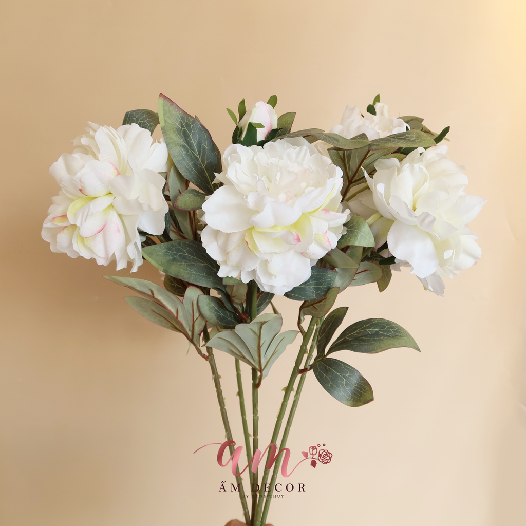 PEONY (Trắng)