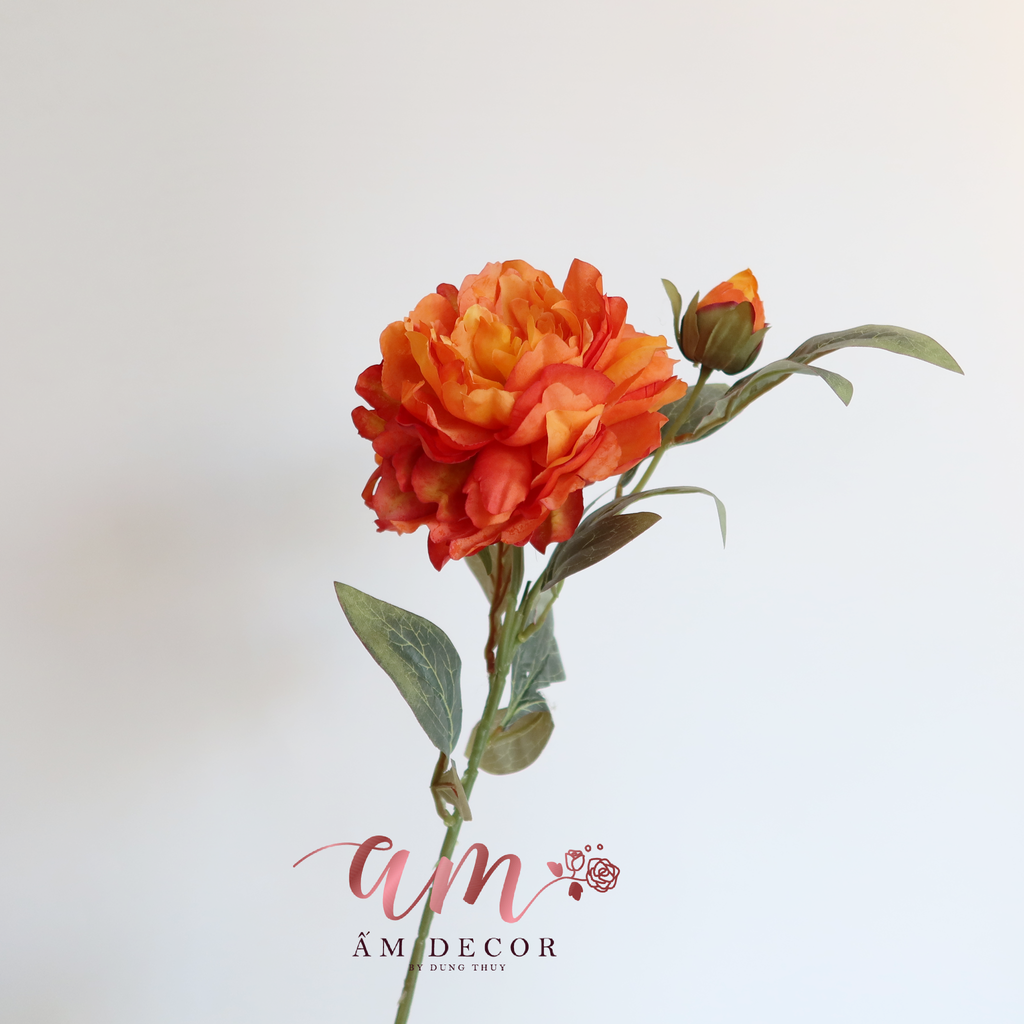 PEONY (Cam)