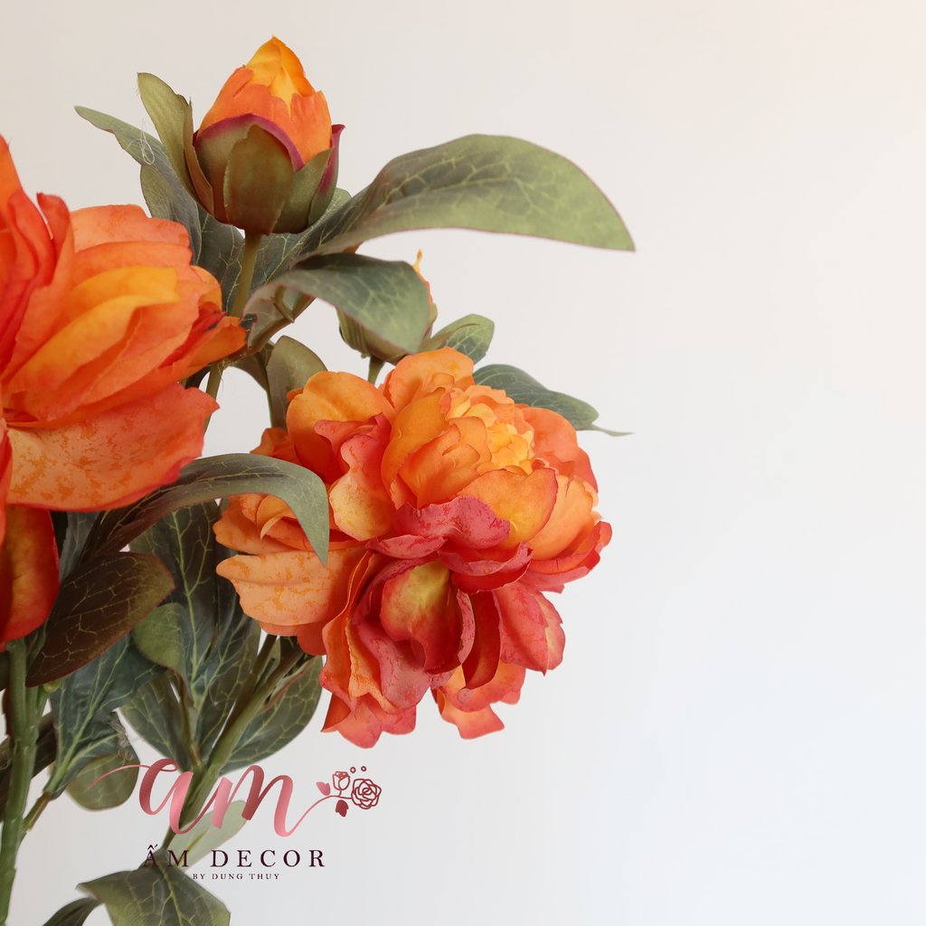 PEONY (Cam)