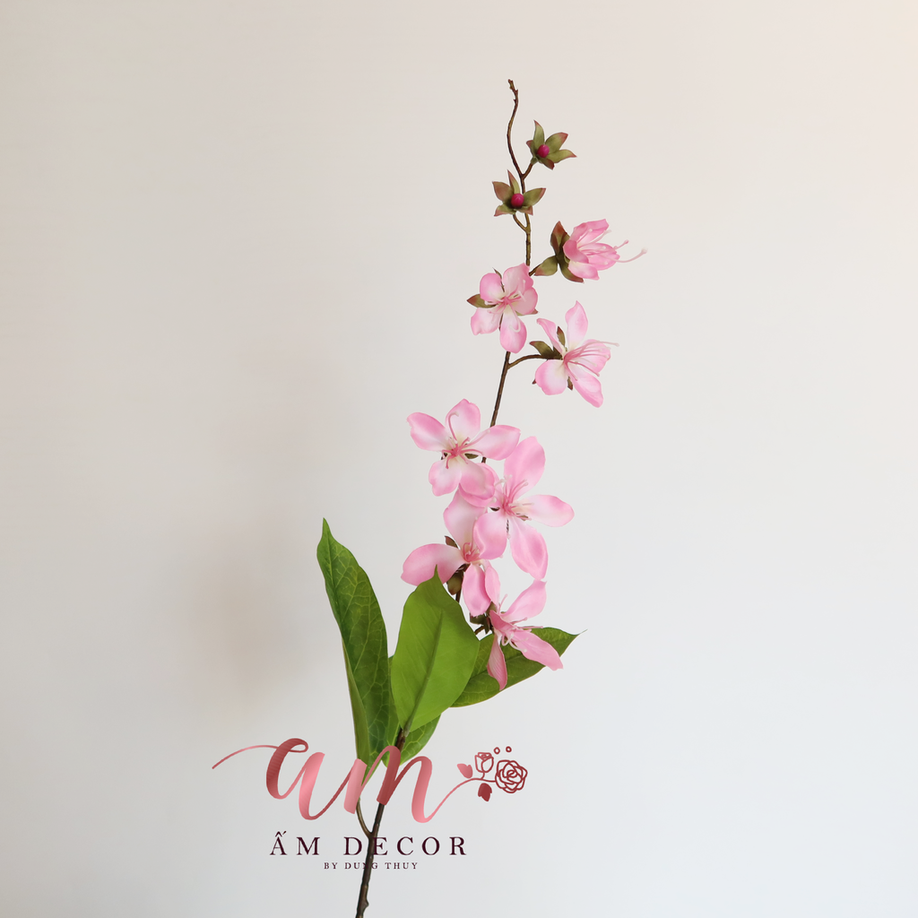 ZHOA BAN LEO MÙA XUÂN (Hồng Đậm)