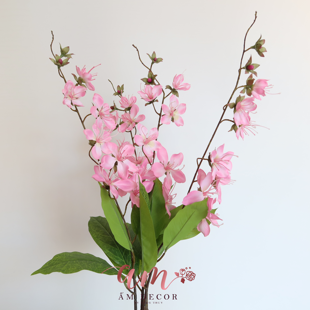 ZHOA BAN LEO MÙA XUÂN (Hồng Đậm)