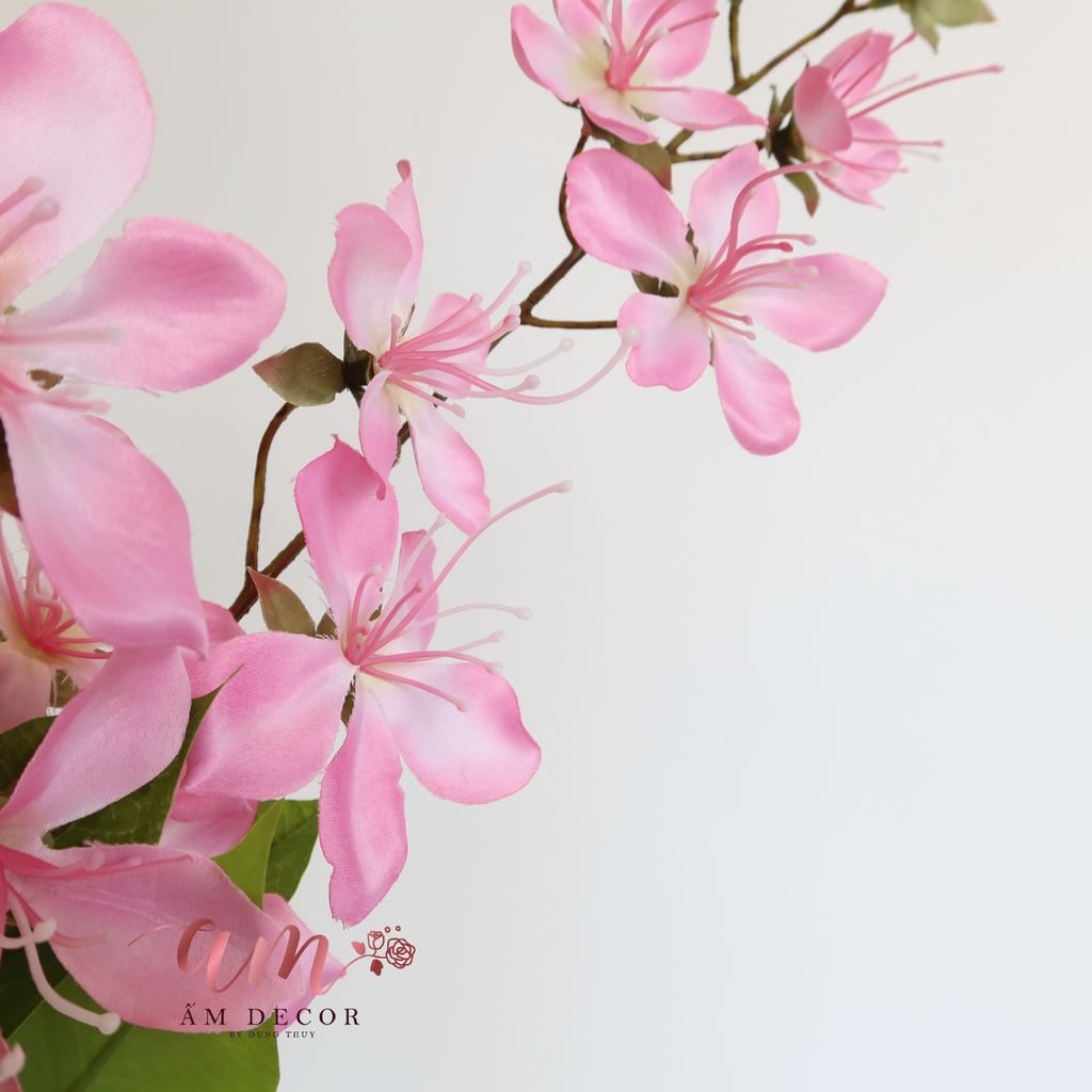 ZHOA BAN LEO MÙA XUÂN (Hồng Đậm)