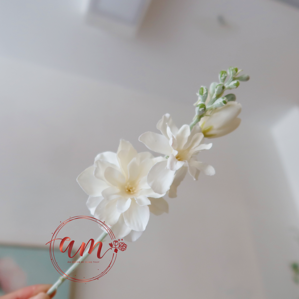 ZNỤ PHI YẾN (Trắng)