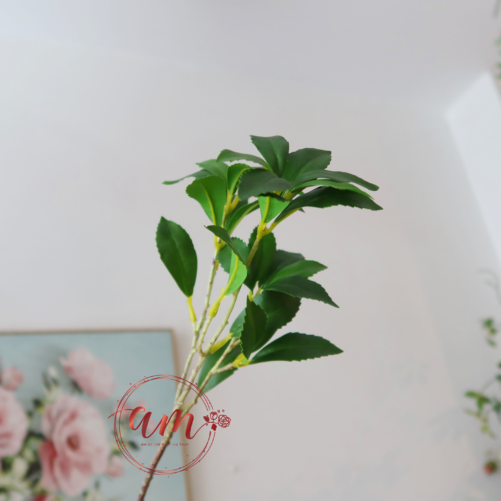 NHÁNH LÁ GỖ NGỰA SAY