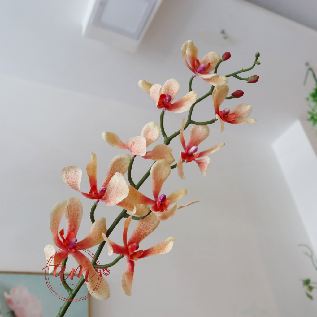 PHONG LAN (Cam Hồng)