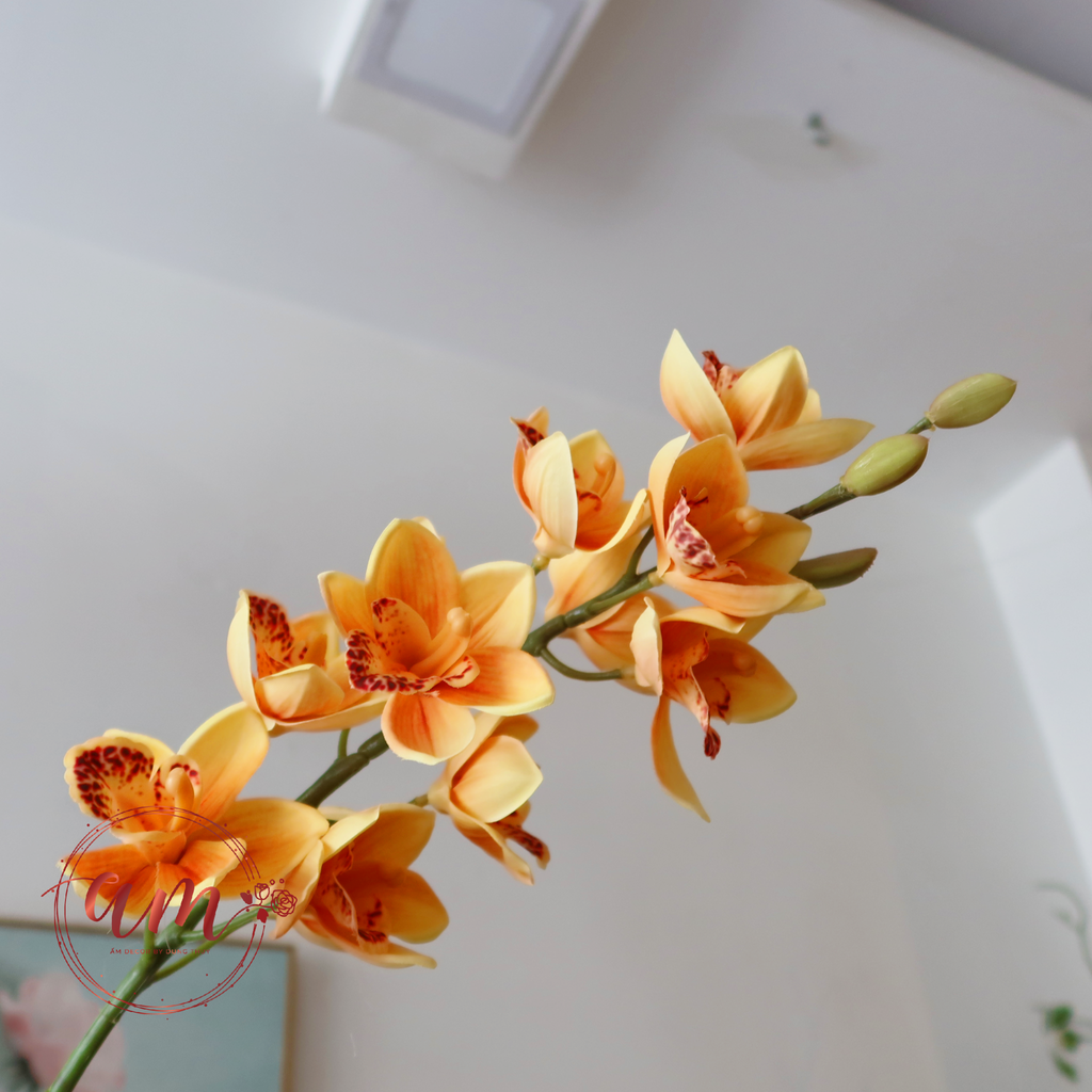 ZĐỊA LAN (Cam Vàng)