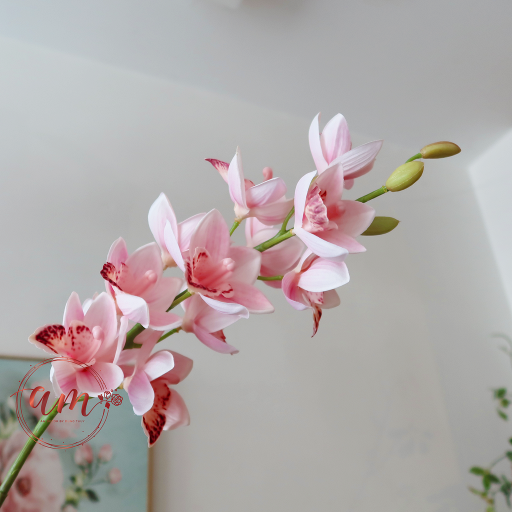 ĐỊA LAN (Hồng Phấn)