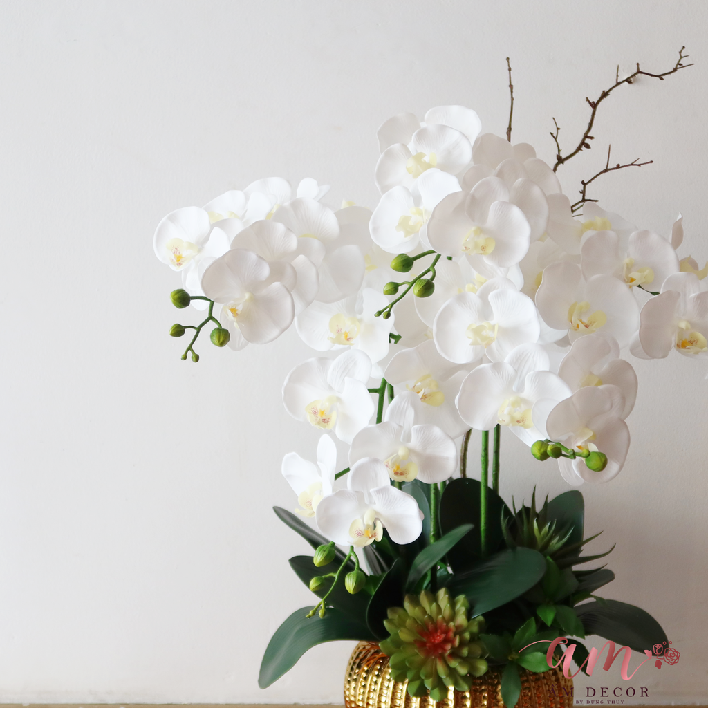QUAN ÂM WHITE ORCHID GOLD ARANGEMENT