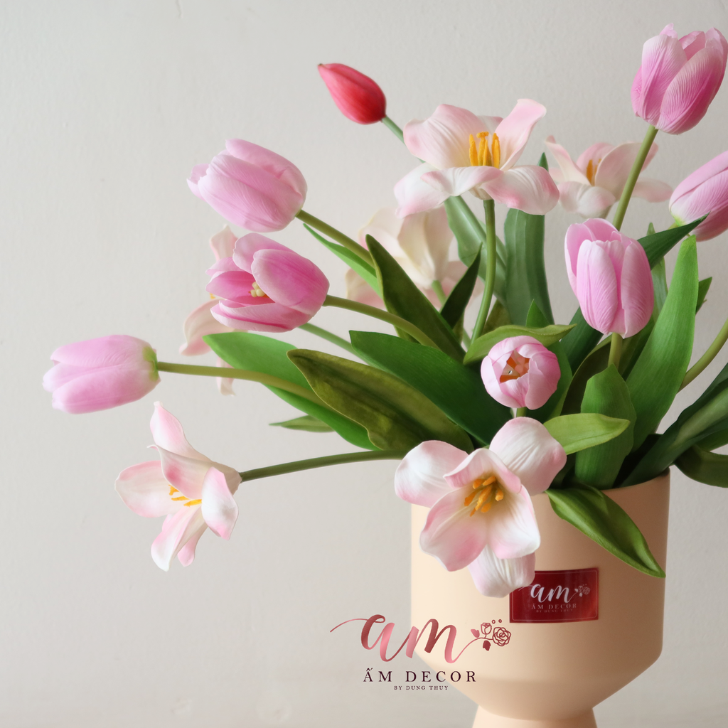 ZTULIP IRENE