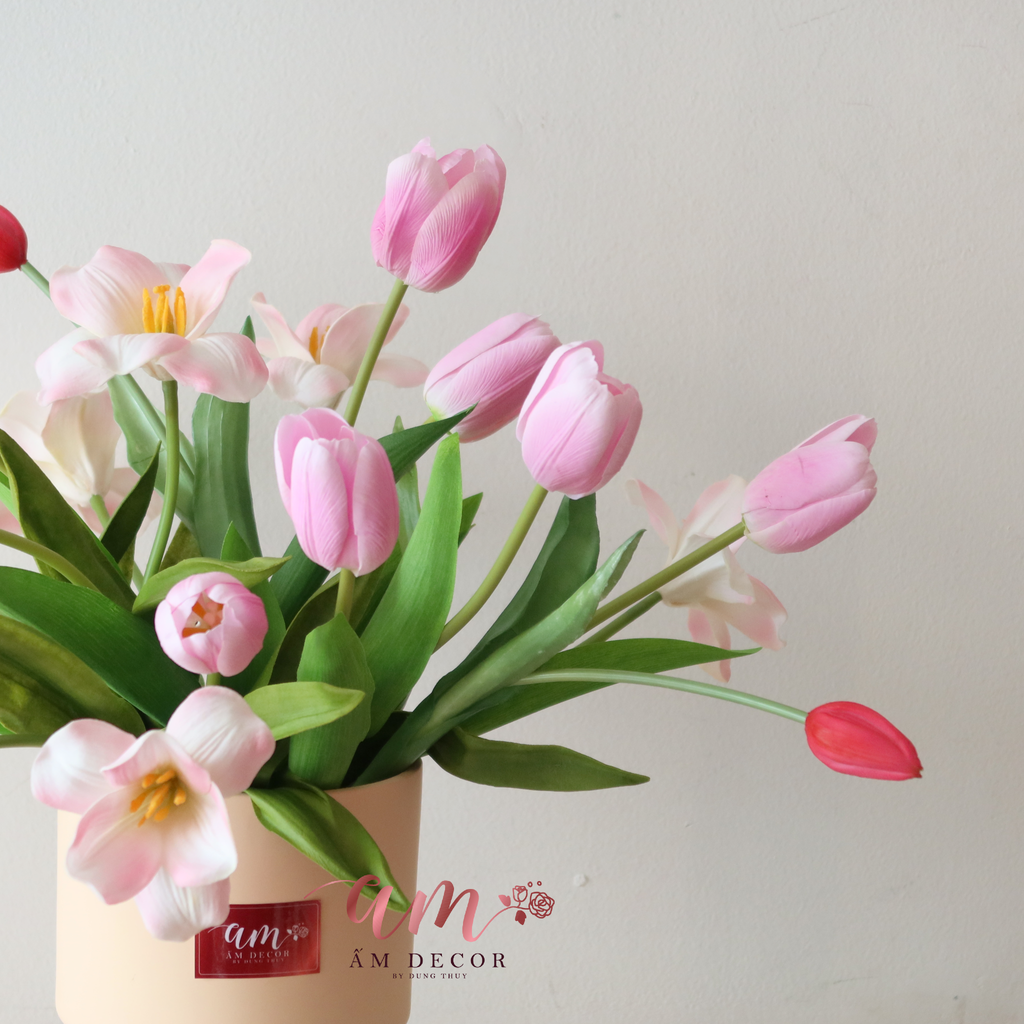 ZTULIP IRENE