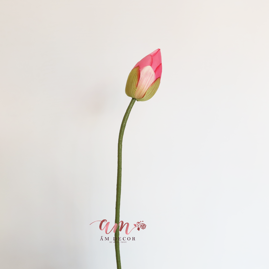NỤ SEN (Hồng Đậm)