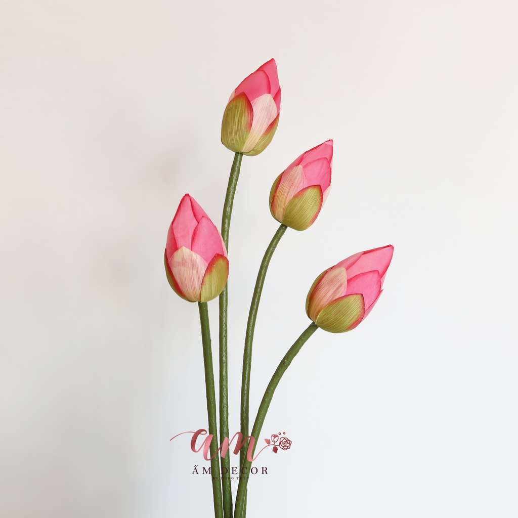 NỤ SEN (Hồng Đậm)