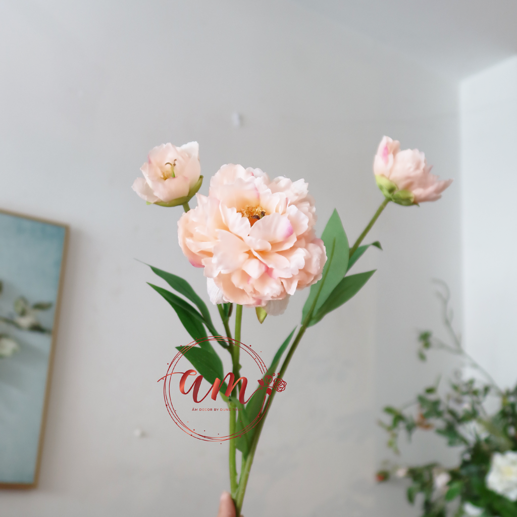 ZMẪU ĐƠN NỞ NHÍ (Cam Pastel)