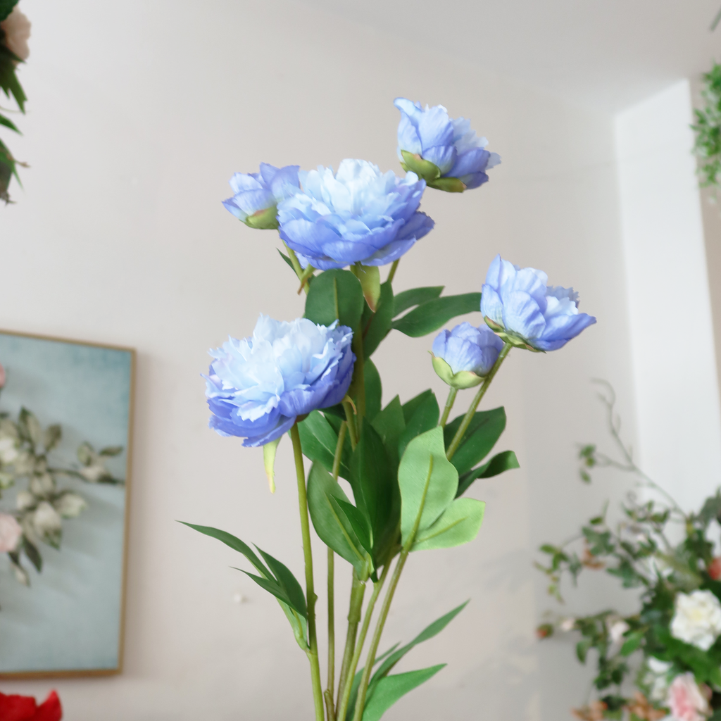 MẪU ĐƠN NỞ NHÍ (Xanh Dương)