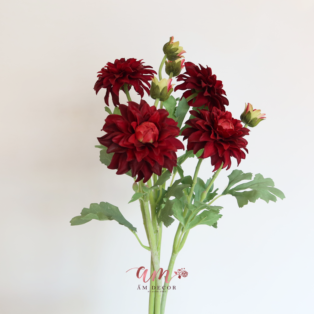 THƯỢC DƯỢC MÙA XUÂN (Đỏ)