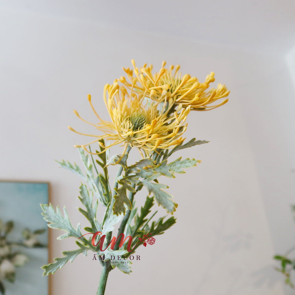 ZSAN HÔ VÀNG 2 NHÁNH