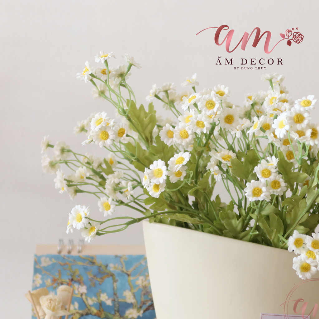 ZDAISY GARDEN MINI