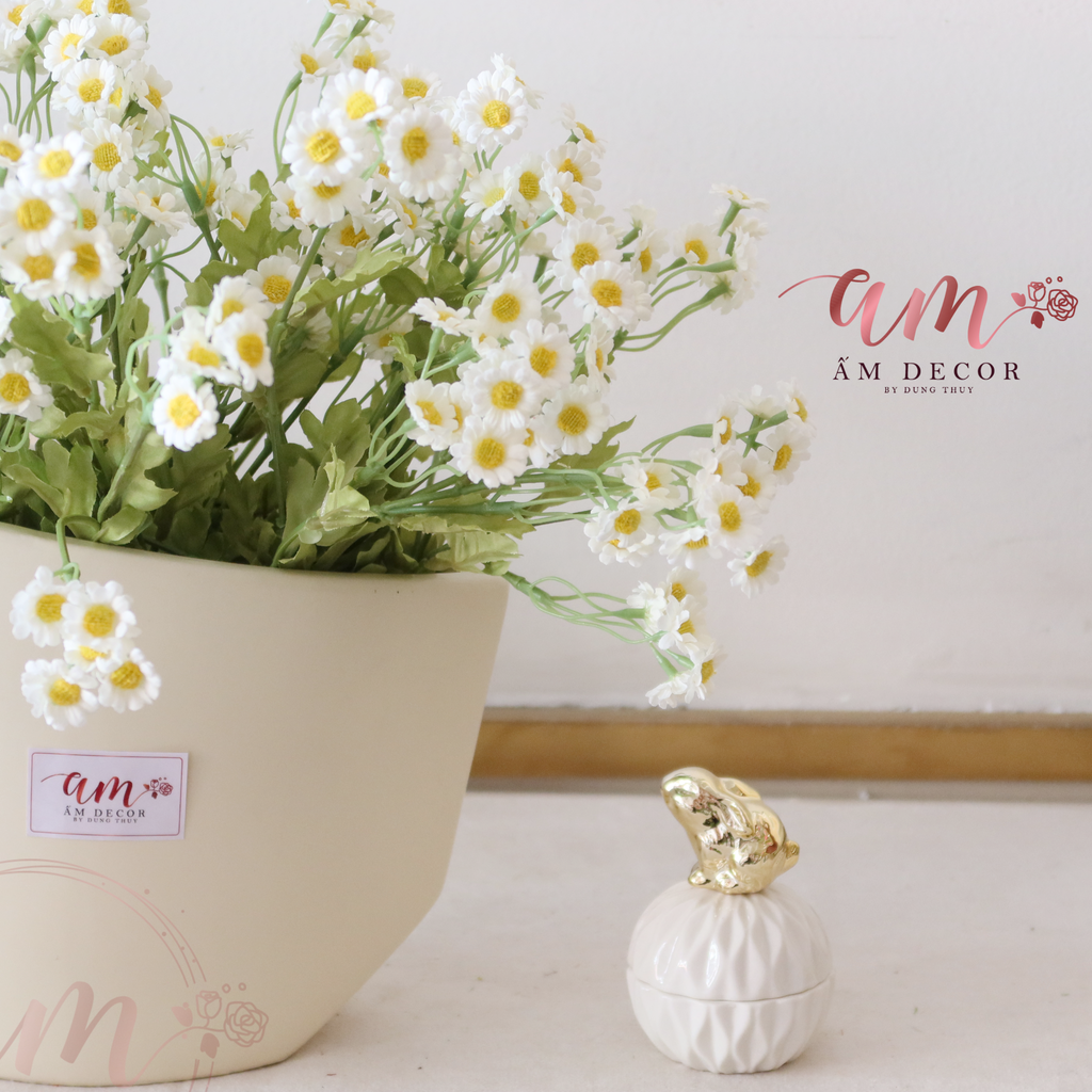 ZDAISY GARDEN MINI