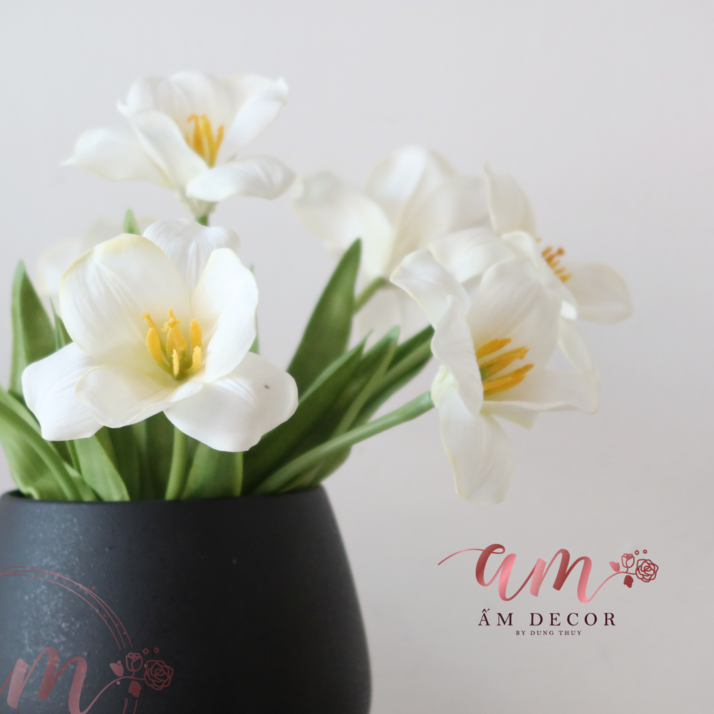 ZHOURGLASS WHITE  TULIP