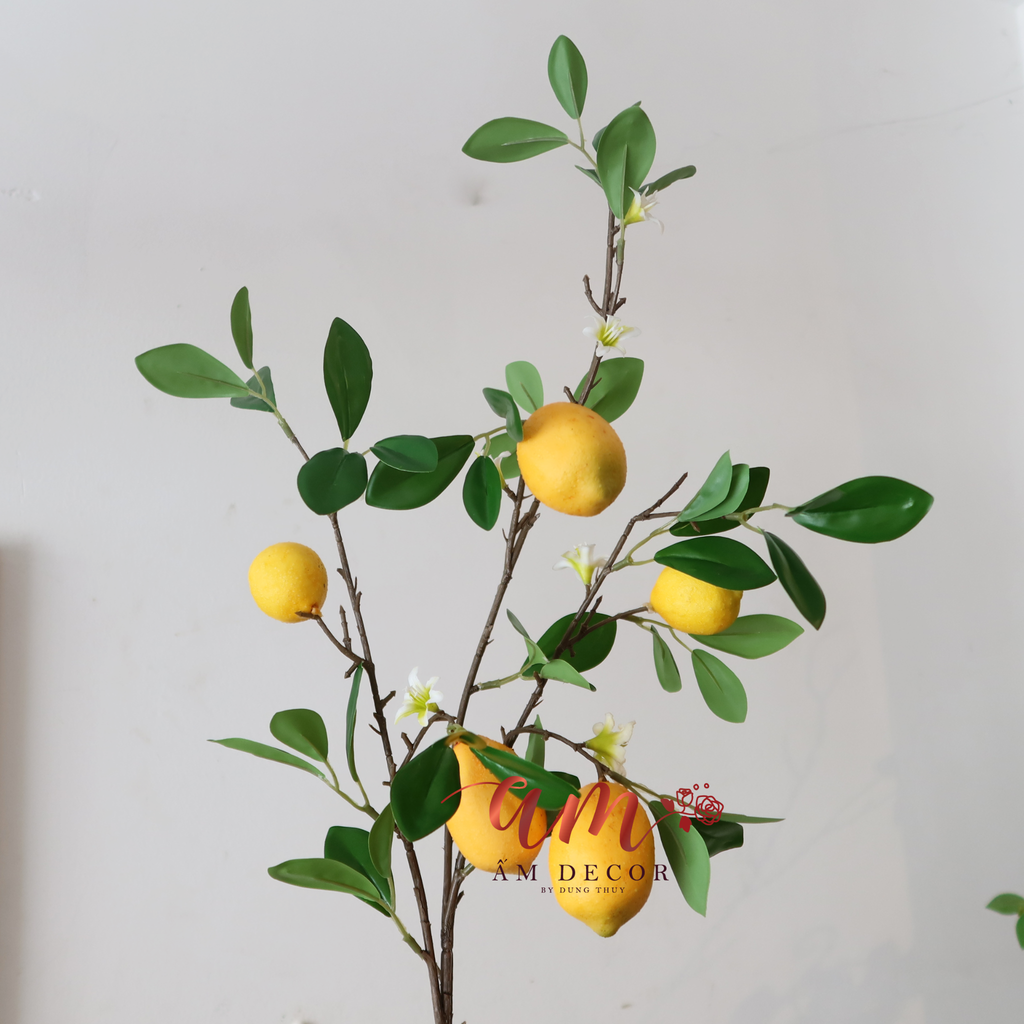 CÀNH QUẢ CHANH VÀNG LỚN