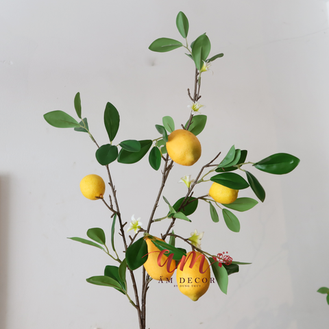  CÀNH QUẢ CHANH VÀNG LỚN 