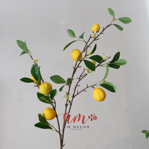  CÀNH QUẢ CHANH VÀNG NHỎ 