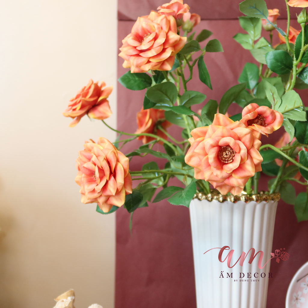 ZENGLAND ORANGE ROSE GOLDEN CLASSIC